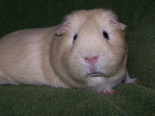 Main Photo